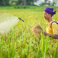 FRP Dosing Tank Housing for Fertiliser & Pesticides