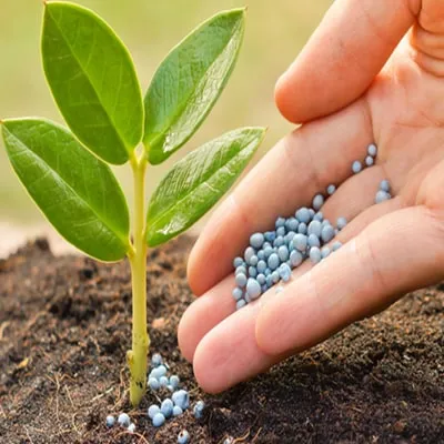 Fertiliser and Pesticides